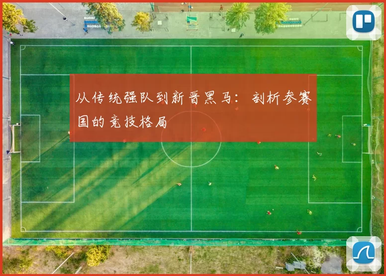 从传统强队到新晋黑马：剖析参赛国的竞技格局