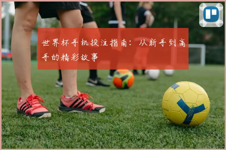 世界杯手机投注指南：从新手到高手的精彩故事