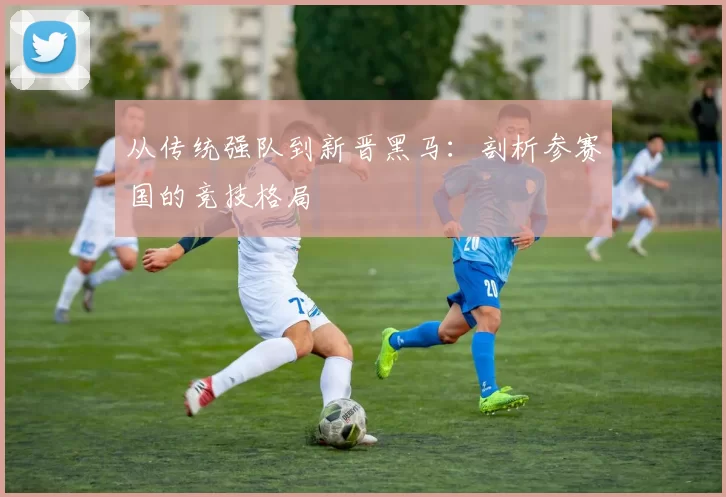 从传统强队到新晋黑马:剖析参赛国的竞技格局