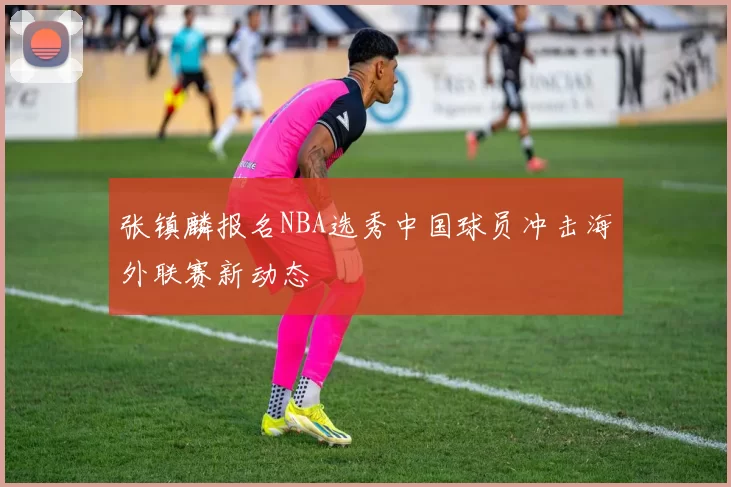 张镇麟报名NBA选秀中国球员冲击海外联赛新动态