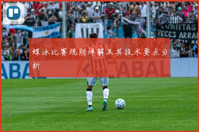 蝶泳比赛规则详解及其技术要点分析
