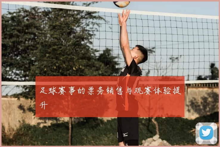足球赛事的票务销售与观赛体验提升