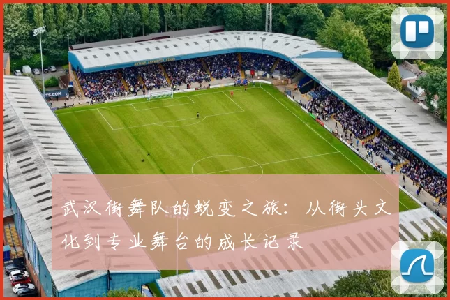 武汉街舞队的蜕变之旅:从街头文化到专业舞台的成长记录