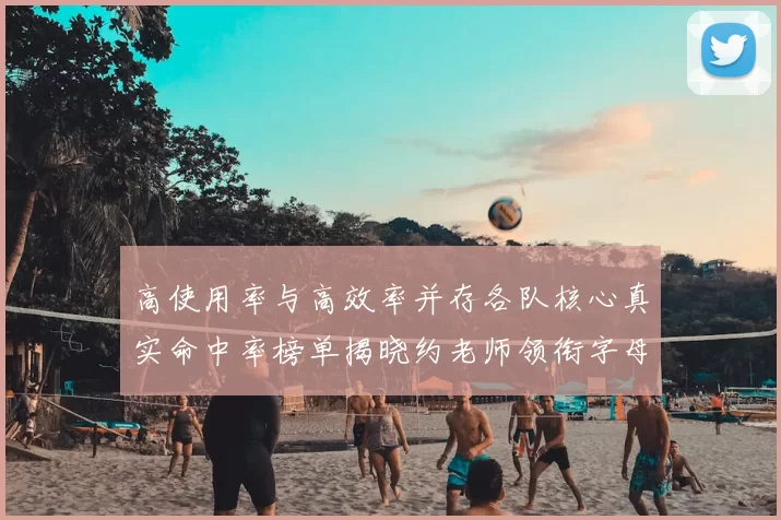 高使用率与高效率并存各队核心真实命中率榜单揭晓约老师领衔字母紧随其后