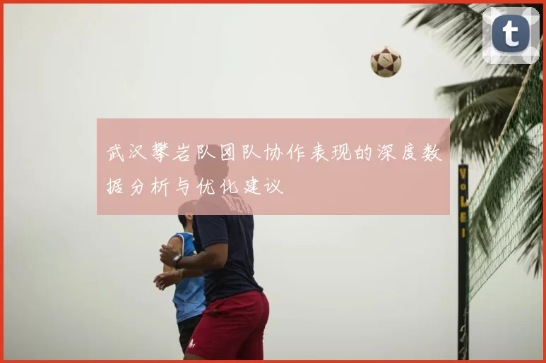 武汉攀岩队团队协作表现的深度数据分析与优化建议