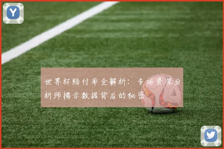世界杯赔付率全解析:专访资深分析师揭示数据背后的秘密