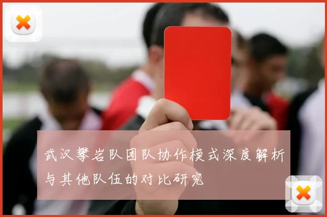 武汉攀岩队团队协作模式深度解析与其他队伍的对比研究