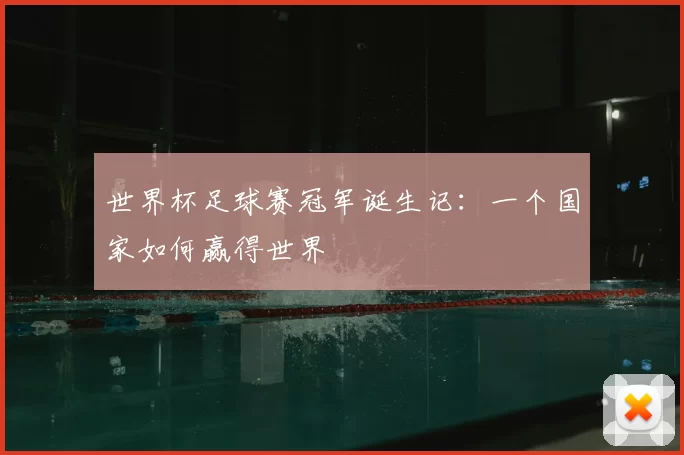 世界杯足球赛冠军诞生记：一个国家如何赢得世界