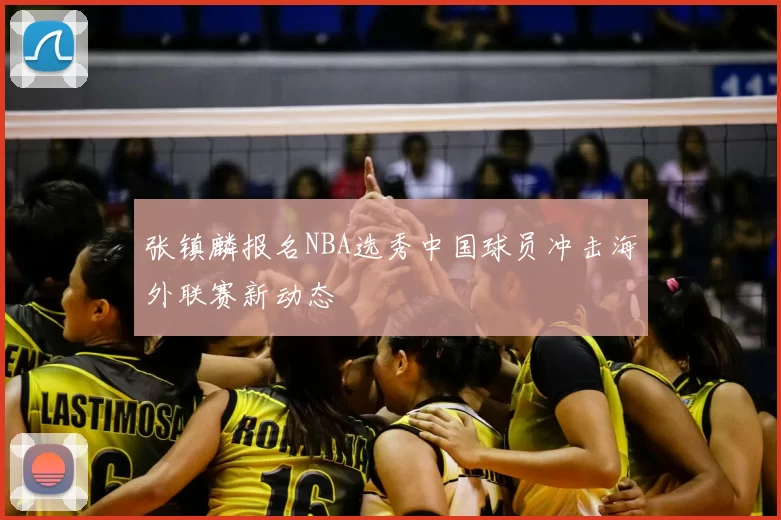 张镇麟报名NBA选秀中国球员冲击海外联赛新动态