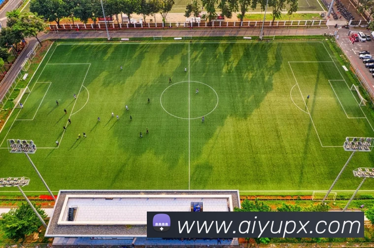 乐鱼体育发展历程